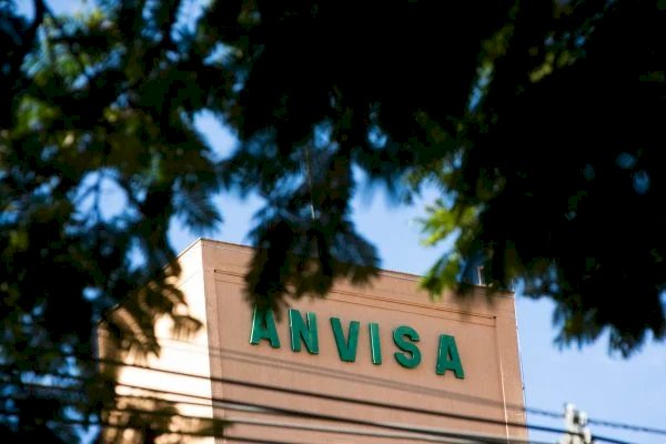 Anvisa determina apreensão de medicamentos falsificados; veja lotes