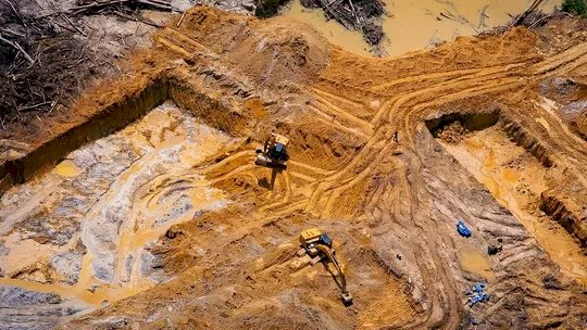 Denúncia: garimpeiros constroem estrada clandestina de 150 km em terra Yanomami, na Amazônia