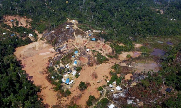 Maioria do ouro vendido no país em 2021 tinha indício de ilegalidade