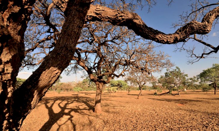 Ambientalistas denunciam degradação dos recursos hídricos do Cerrado