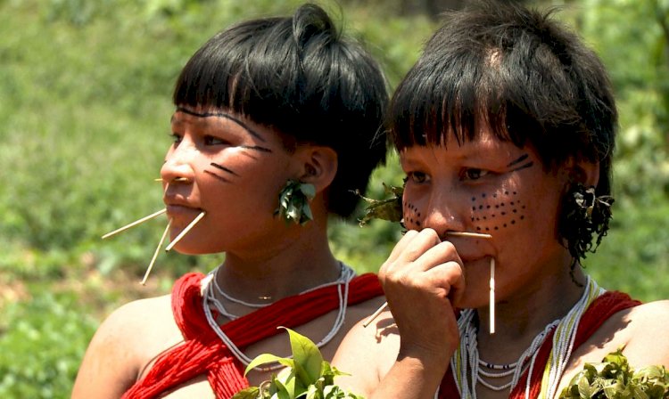 Militares vão distribuir mais de 12 mil cestas básicas aos yanomami