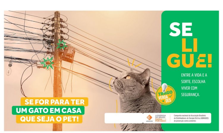 Agosto Vermelho busca conscientizar sobre acidentes com rede elétrica