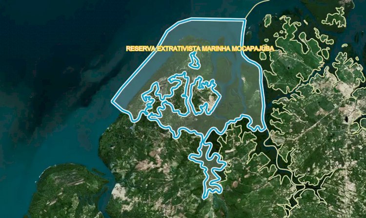 ICMBio define perfil de beneficiários de reserva extrativista no Pará