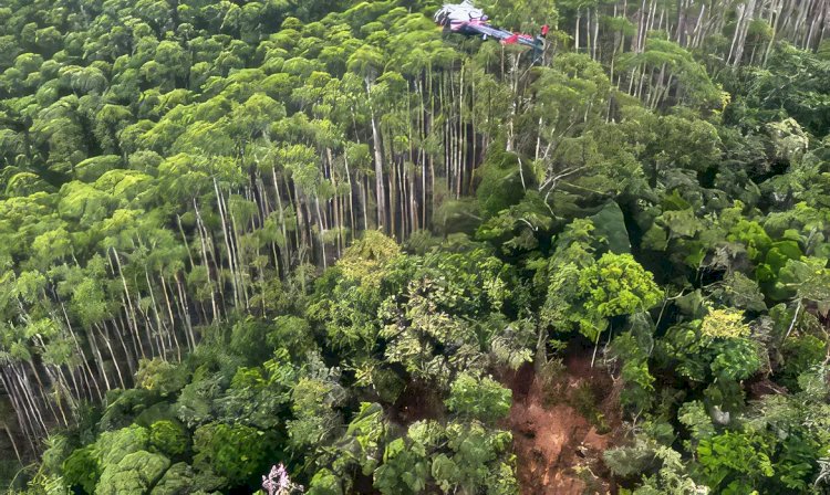 Helicóptero que caiu em Paraibuna bateu em vegetação antes da queda