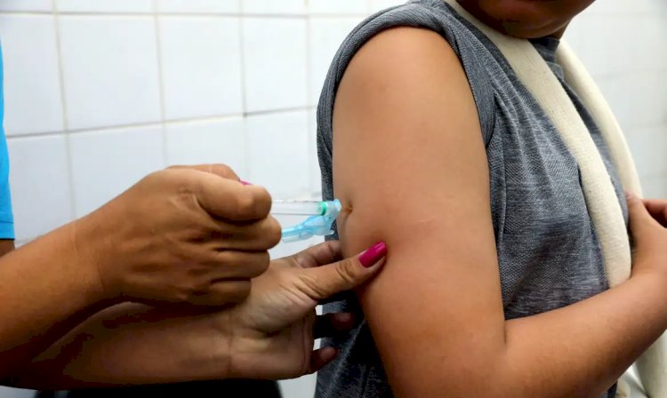 Minas e DF reduzem casos de dengue, mas cenário é visto com cautela