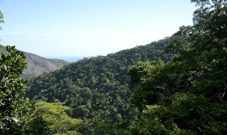 Propostas para o Plano Clima serão debatidas nos biomas brasileiros