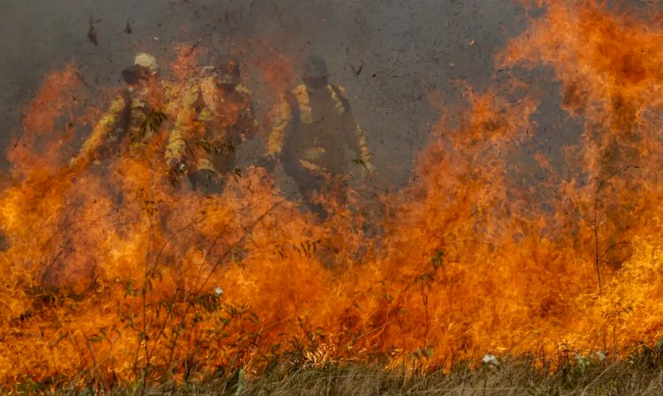 Parque da Cantareira é fechado por causa de incêndio; total chega a 81