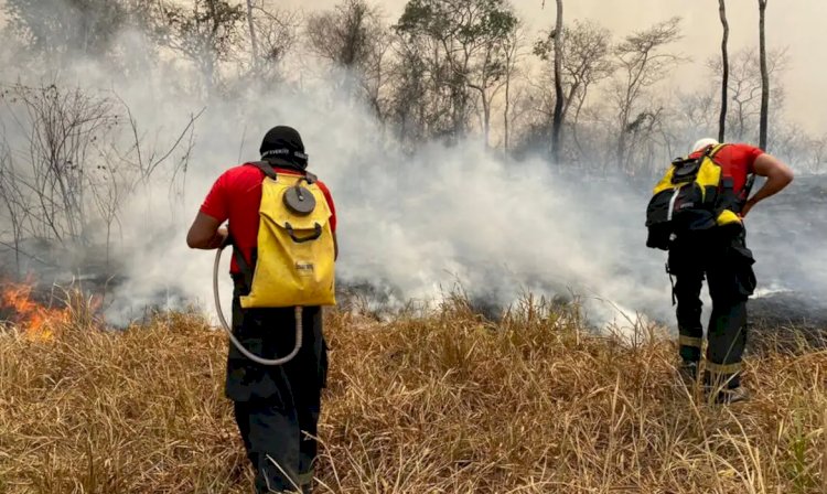 Incêndio na Floresta Nacional de Brasília é extinto