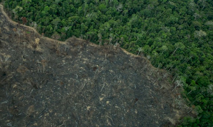 Greenpeace: imagens mostram novas áreas de garimpo em TIs na Amazônia