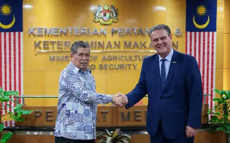 Brasil retoma exportações de carne de frango para a Malásia