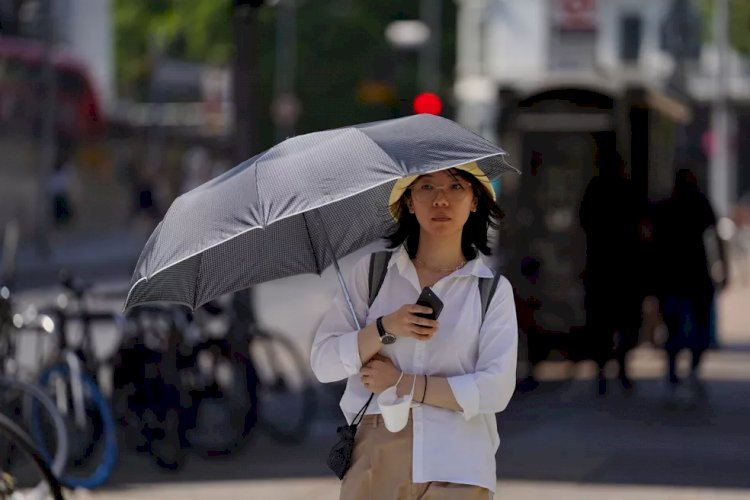 Onda de calor na Europa: entenda as causas e a relação com a crise do clima e com o aquecimento dos polos