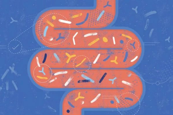 Saiba por que a saúde do coração depende do bem-estar do intestino