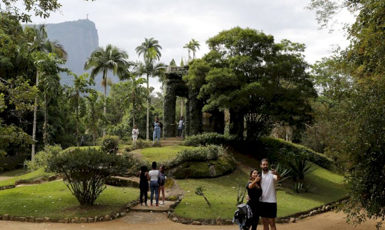 Painel Conserva Flora facilita acesso à flora ameaçada de extinção