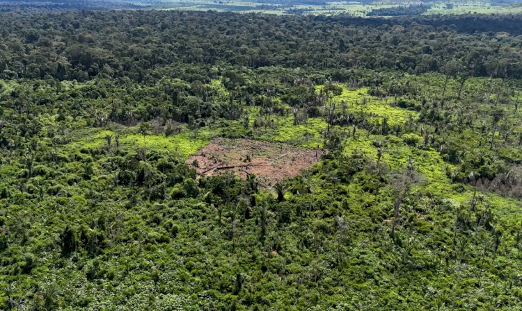 Indígenas karipuna denunciam aumento de invasores em sua terra