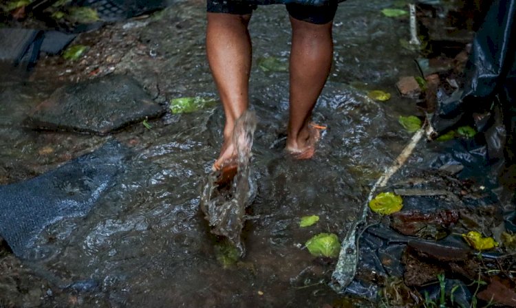 Número de mortes por leptospirose chega a 15 no Rio Grande do Sul