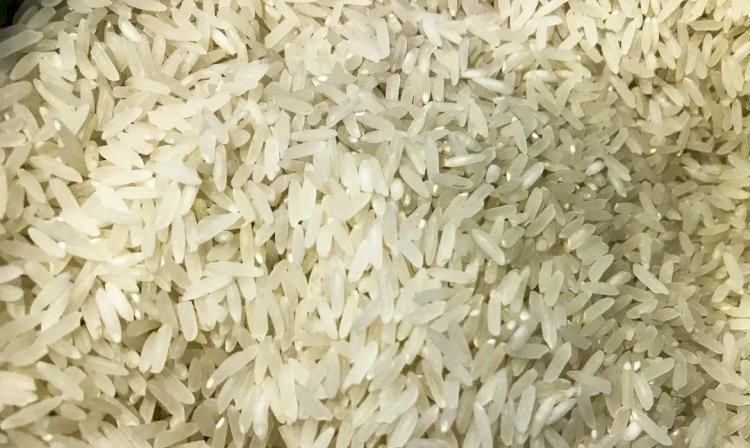 Polícia Federal abre investigação sobre leilão de arroz