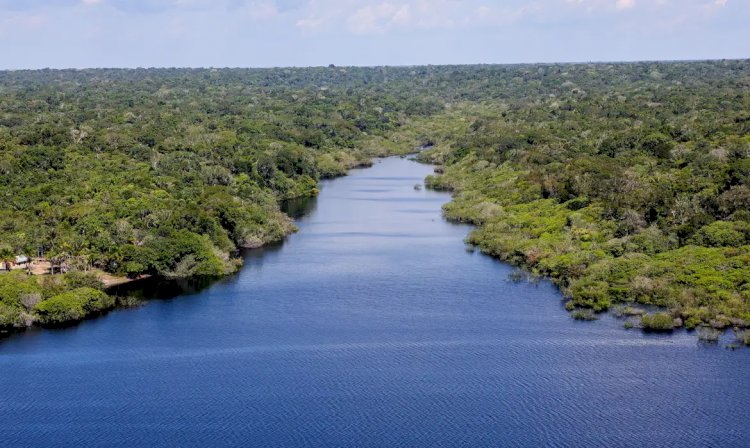 Organizações reivindicam participação nas tomadas de decisão da COP16