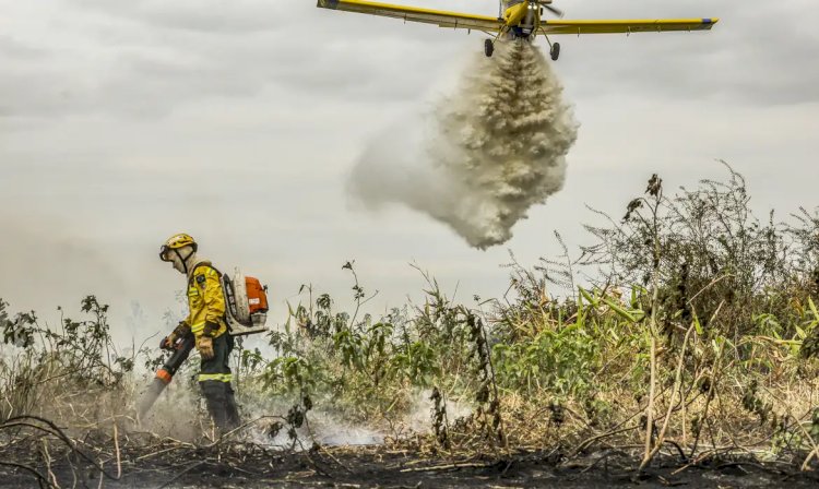 Pantanal: redução da área alagada tem favorecido aumento de incêndios